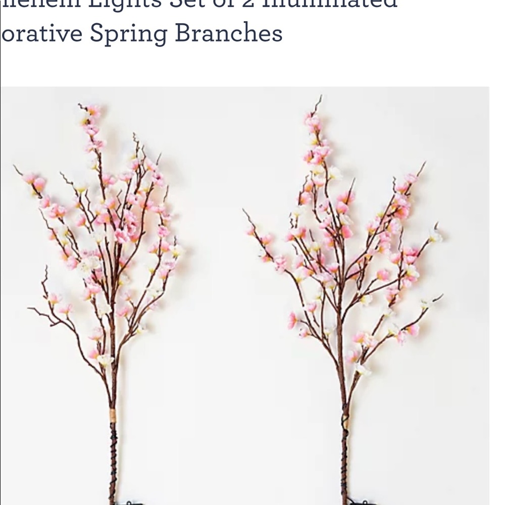 Bethlehem Lights - Illuminated branches set of 2